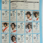 Photo 6 - Album officiel Coupe du Monde 1978
