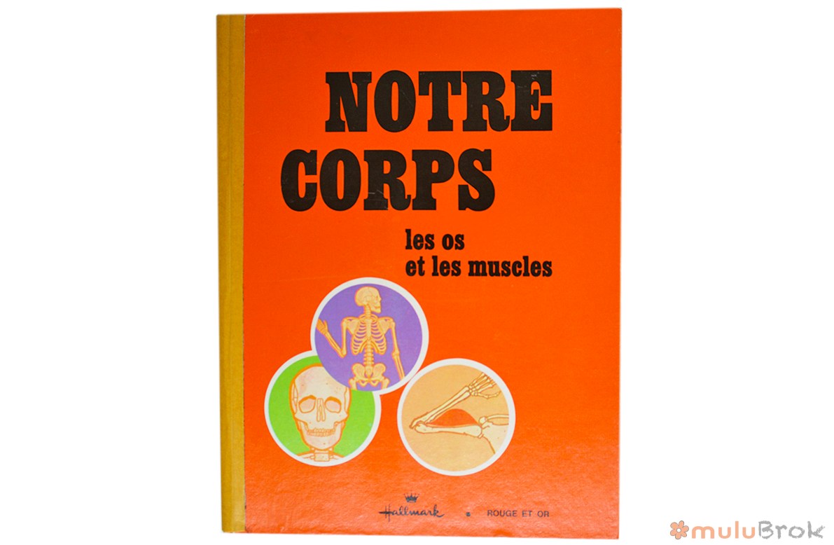 Notre corps Les os les muscles