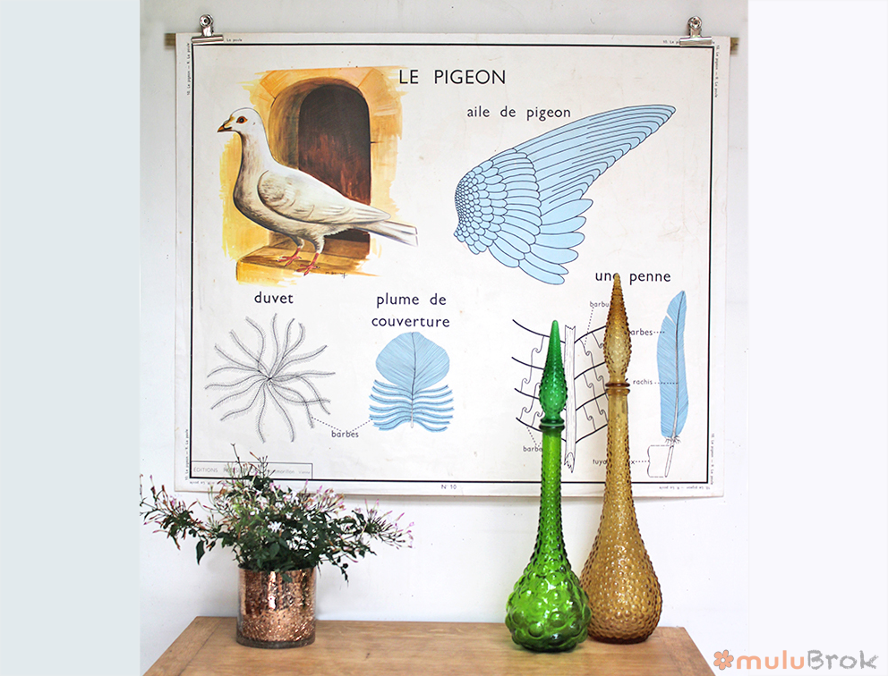 Affiche Poule et Pigeon