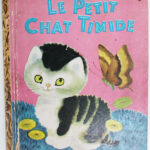 Photo 1 - Le Petit Chat Timide