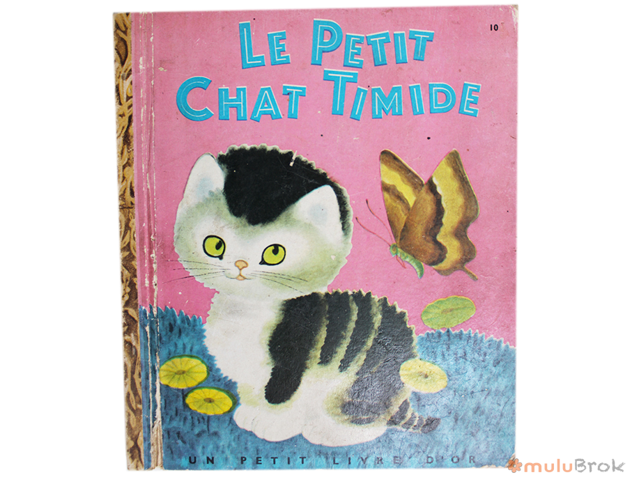 Le Petit Chat Timide