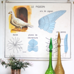 Affiche Poule et Pigeon