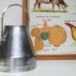 Bidon à lait en inox