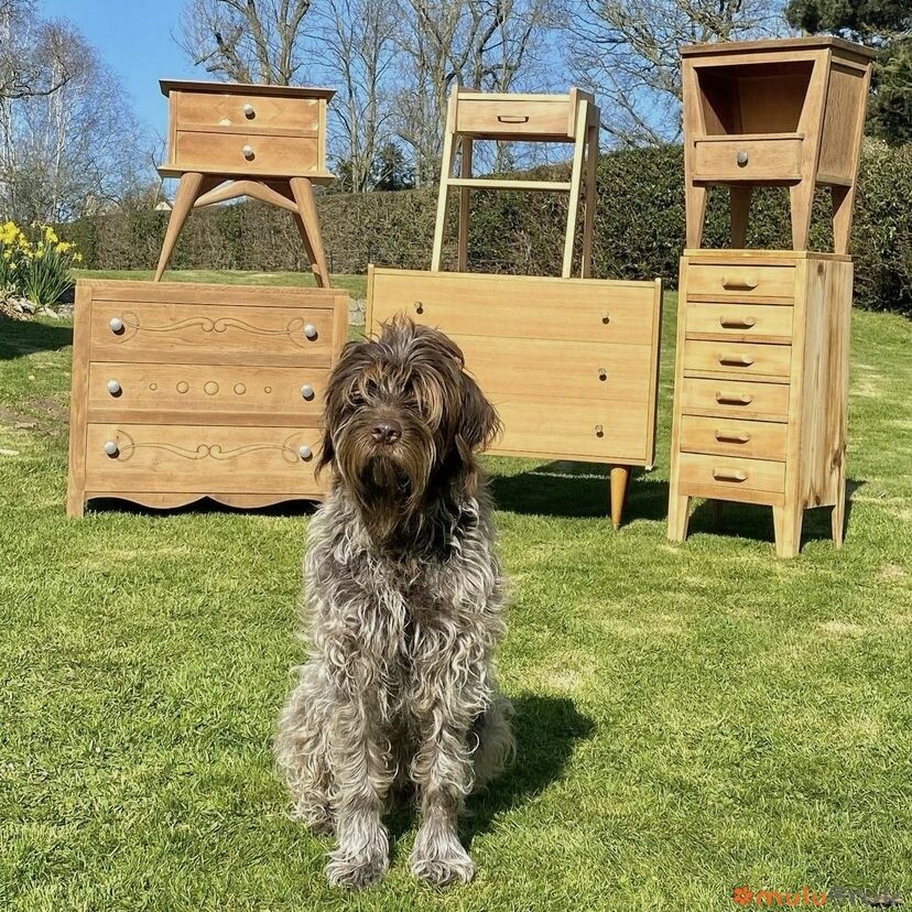 des meubles à l'atelier...