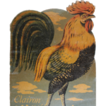 Clairon le coq