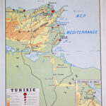 Photo 4 - Affiche carte Algérie et Tunisie