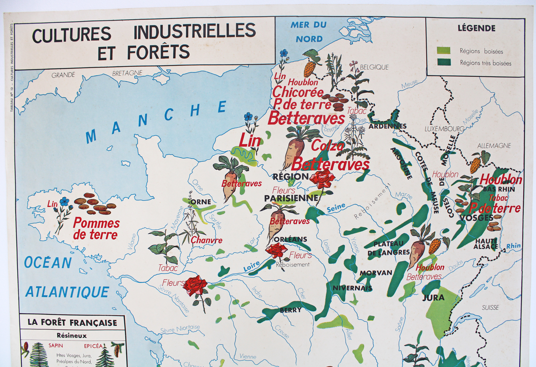 Photo 1 - Affiche Carte Cultures Industrielles et Forêts – La Garonne et ses affluents