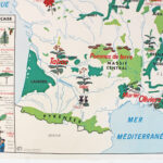 Photo 2 - Affiche Carte Cultures Industrielles et Forêts – La Garonne et ses affluents