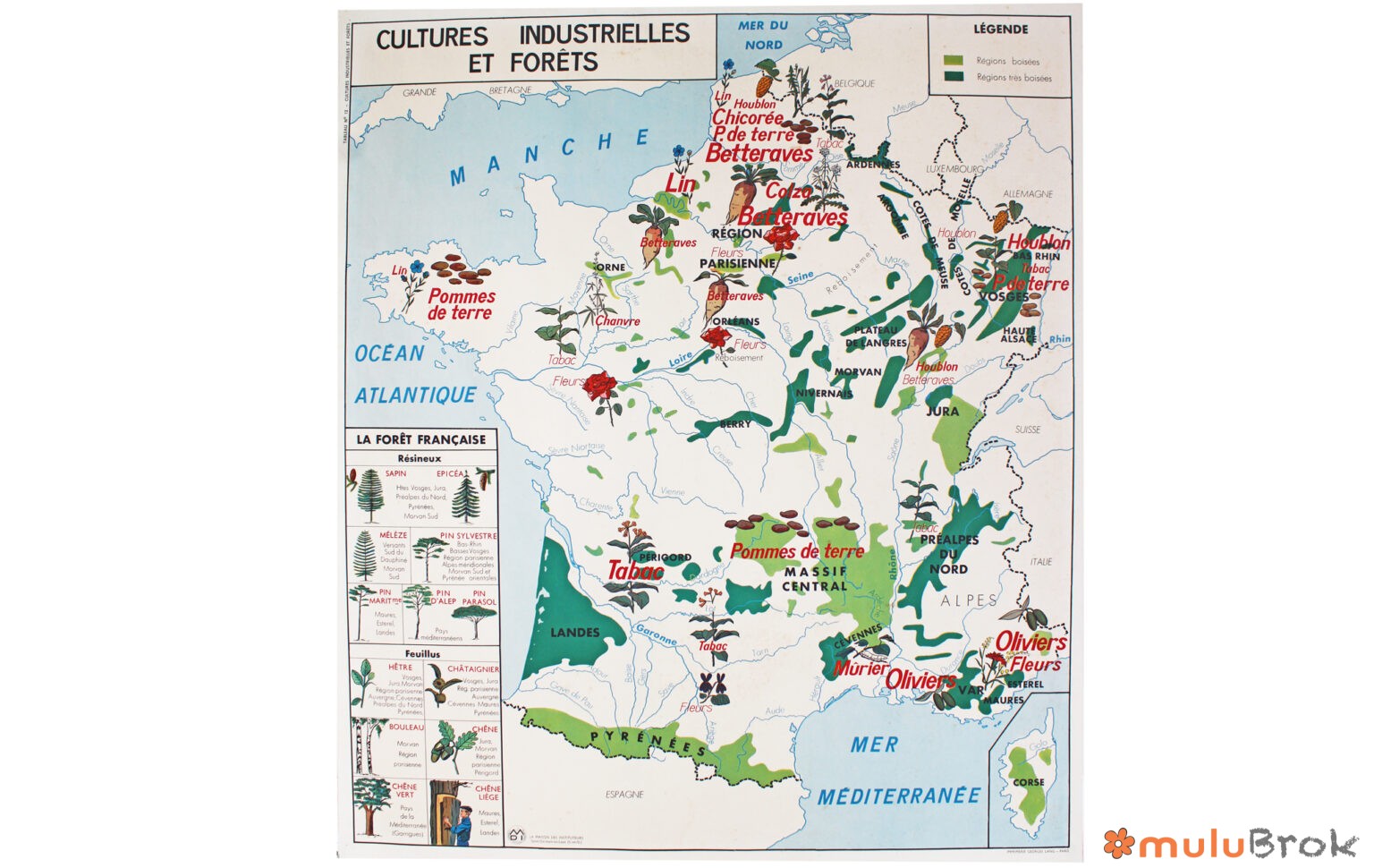 Affiche Carte Cultures Industrielles et Forêts – La Garonne et ses affluents