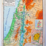 Photo 1 - Affiche carte Palestine Egypte