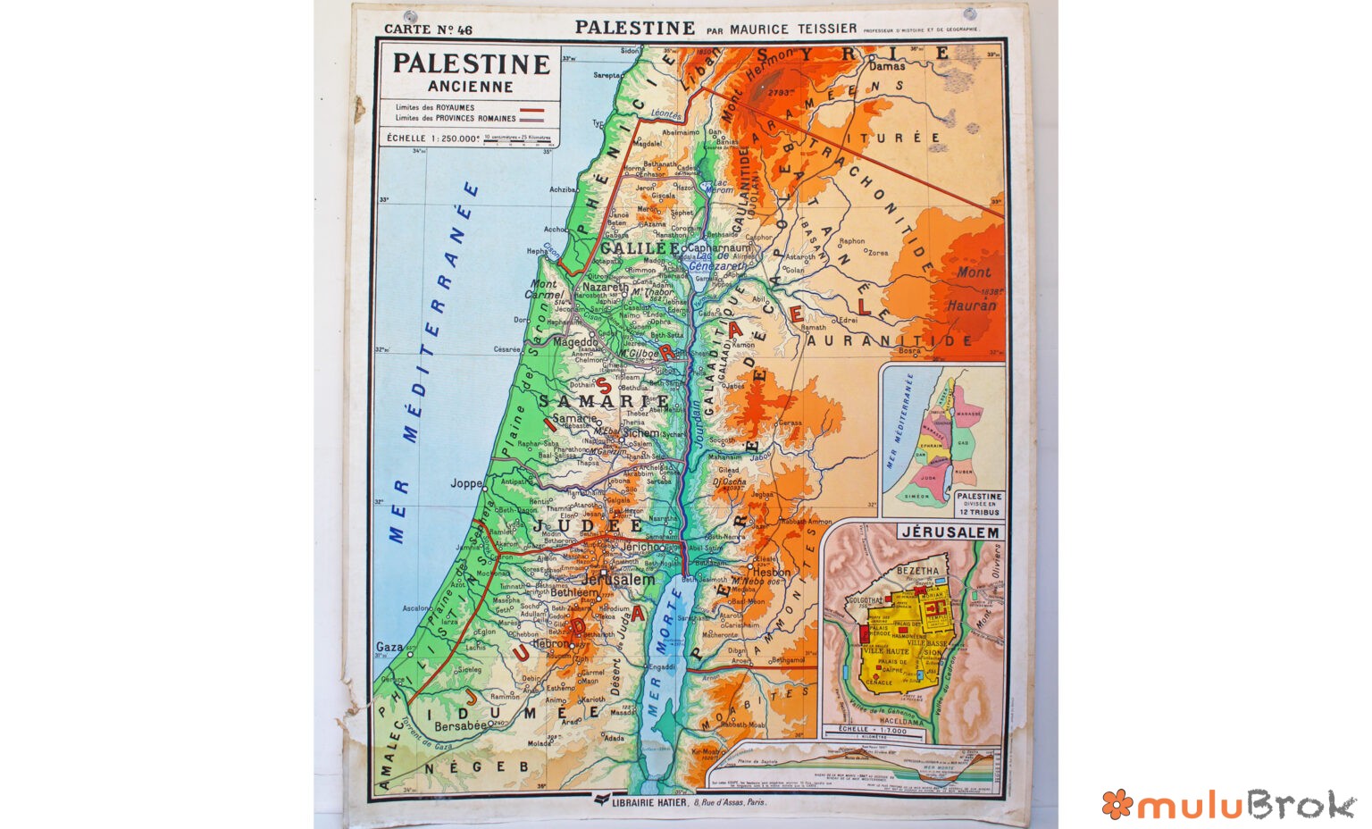 Affiche carte Palestine Egypte