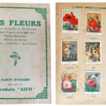 Album d’images Les Fleurs