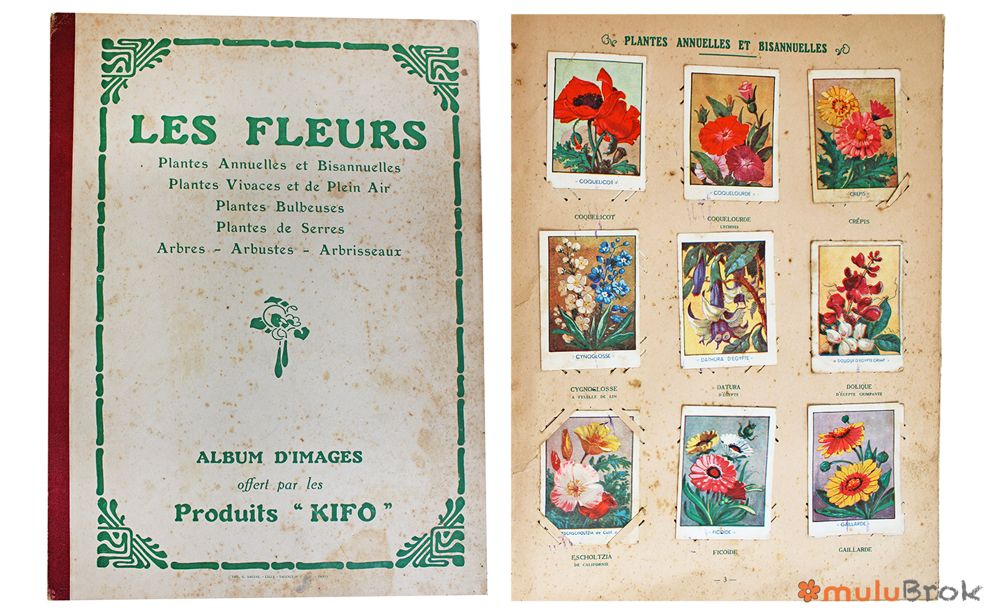 Album d’images Les Fleurs