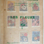 Photo 3 - Album d’images Les Fleurs