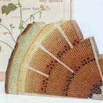 Support pédagogique découpe d’un tronc d’arbre