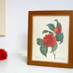 Cadre Redouté Les Camélias