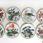 Coupelle oiseaux Songbirds of the world