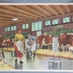 Photo 1 - Affiche Le potager / La ferme à l’étable