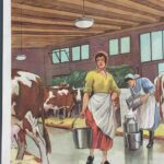 Photo 2 - Affiche Le potager / La ferme à l’étable