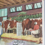 Photo 3 - Affiche Le potager / La ferme à l’étable