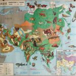 Affiche Carte Amérique du Nord / Asie