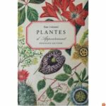 Plantes d’appartement