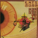 Disque vinyle Kate Bush