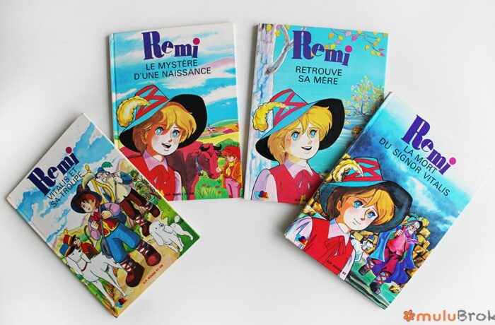 SPÉCIAL RÉMI SANS Famille n°3 / Le retour de Papa Barberin / TF1 /1977 /G.Format EUR 14,00 - FR