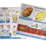 Affiche L’huile La Pomme de terre