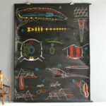 Affiche La sauterelle