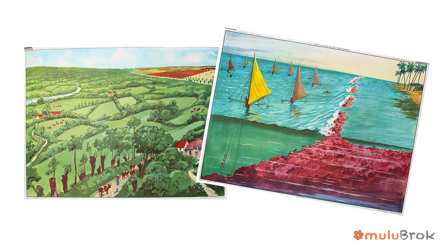 Affiche Le bocage Vie sous-marine