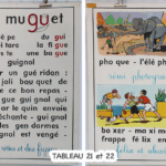 Photo 8 - Affiche scolaire Alphabet