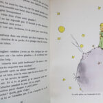 Photo 6 - Le Petit Prince