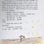 Photo 7 - Le Petit Prince
