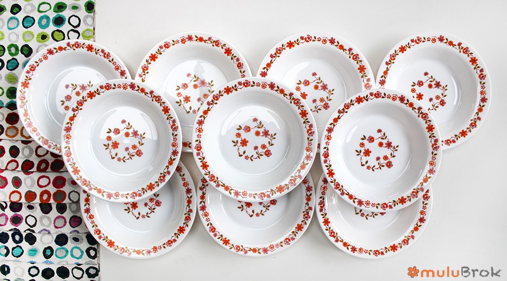 Vaisselle Arcopal Scania