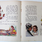 Photo 6 - Le livre de Zoupette