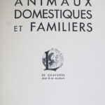 Photo 3 - Animaux domestiques et familiers