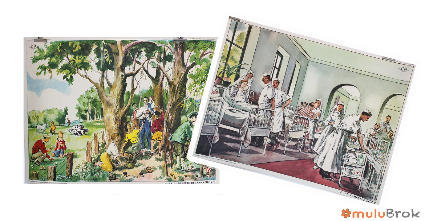 Affiche La cueillette des champignons Un camarade blessé