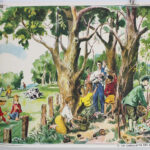 Photo 1 - Affiche La cueillette des champignons Un camarade blessé