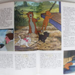 Photo 5 - Les aristochats