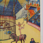 Photo 6 - Affiche Au cirque Après l’averse