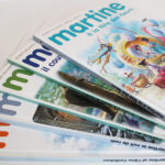 Photo 11 - Les albums Martine