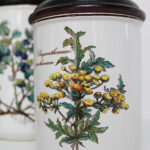 Photo 2 - Pot Villeroy et Boch Botanica