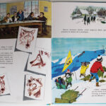 Photo 4 - Fanfan et le dernier loup