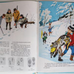 Photo 5 - Fanfan et le dernier loup