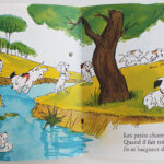 Photo 13 - Les albums Bonne Nuit