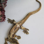 Photo 1 - Lézard laiton