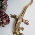 Photo 4 - Lézard laiton