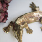 Photo 3 - Lézard laiton