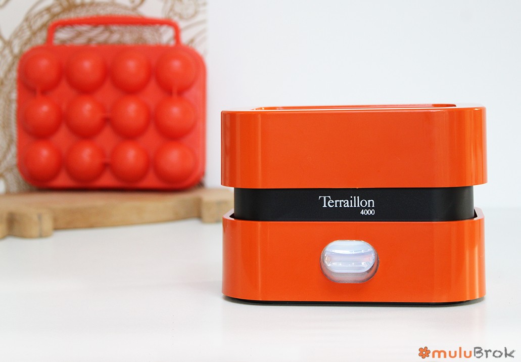 Balance Terraillon 4000